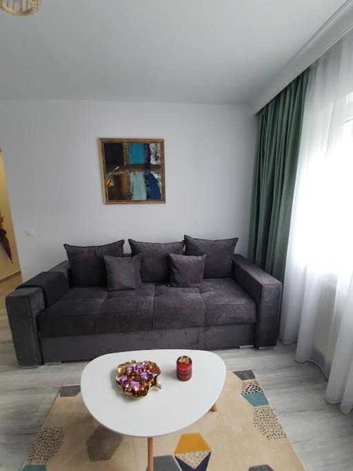 Apartament Ama Sibiu Ngoại thất bức ảnh