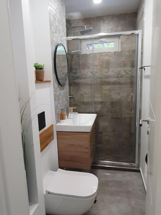 Apartament Ama Sibiu Ngoại thất bức ảnh