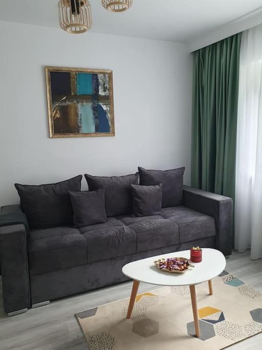 Apartament Ama Sibiu Ngoại thất bức ảnh