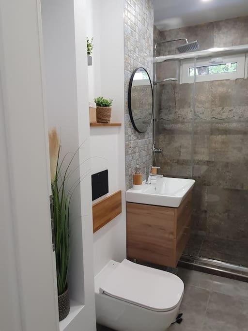 Apartament Ama Sibiu Ngoại thất bức ảnh